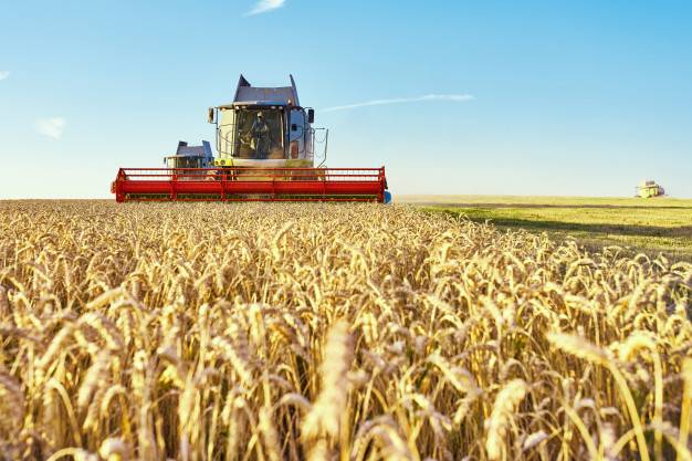 Peruzzo : un promoteur de l’innovation dans le secteur agricole et espaces verts