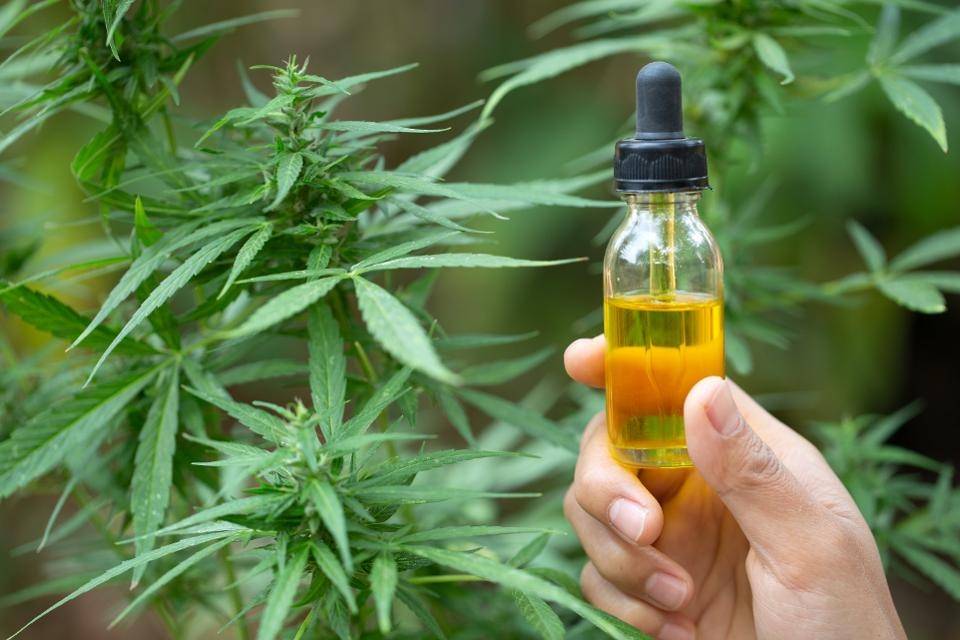 Les nombreux avantages du CBD pour les aînés — CBD