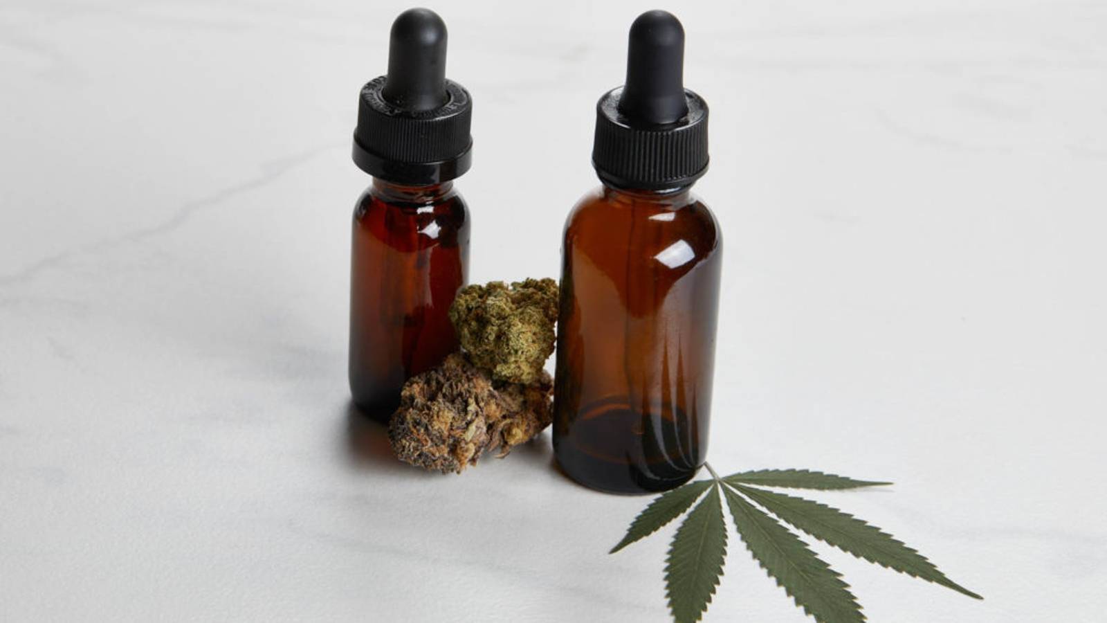 Les PDG du cannabis discutent de la façon d’utiliser la marijuana