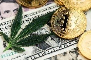 Le Danemark attire d’importants investissements canadiens dans le cannabis médical